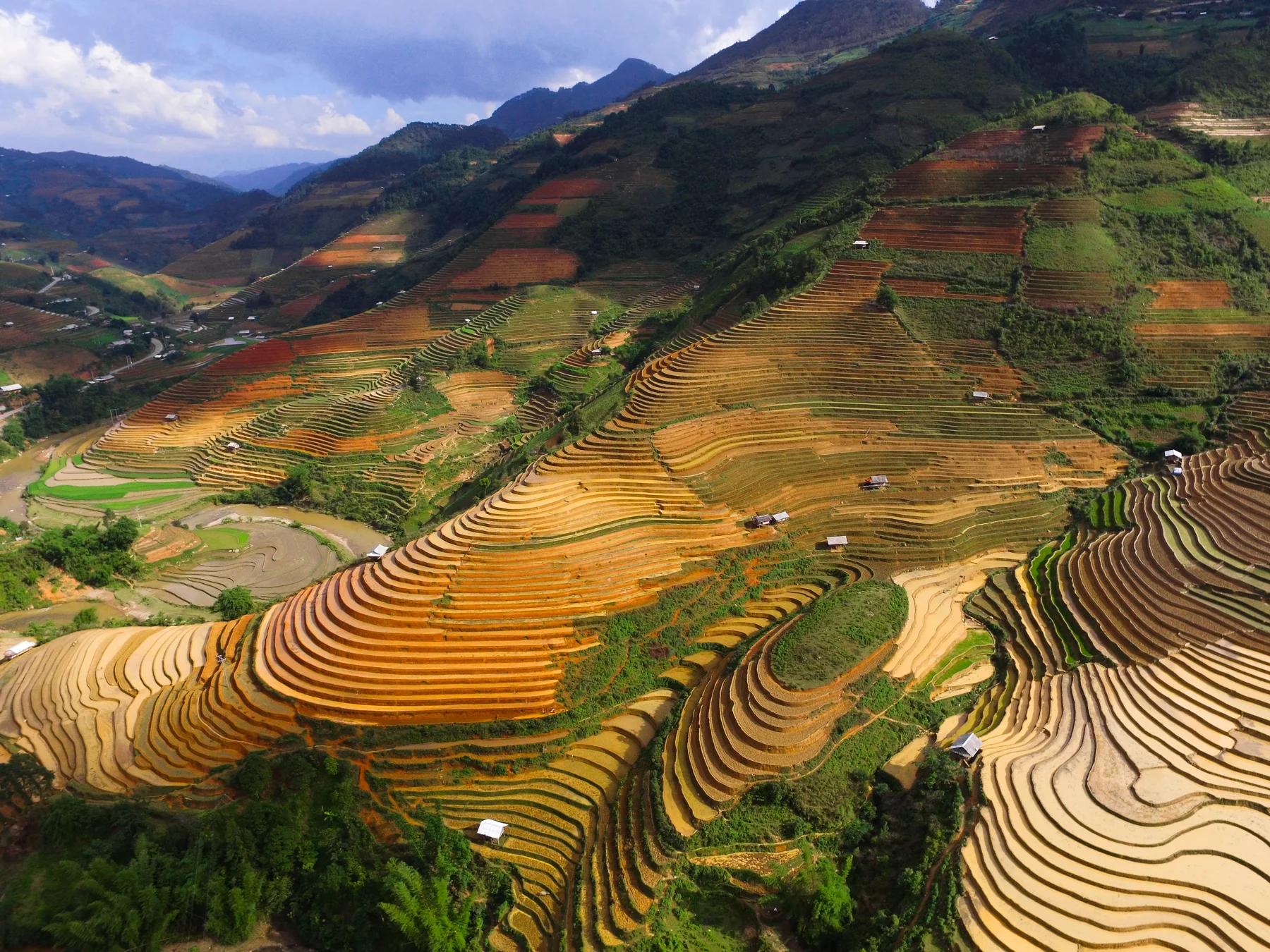 Terraced mountainside in Mù Cang Chải, northern Vietnam